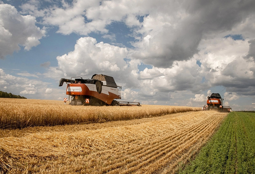 Поддержка Минсельхоза РФ