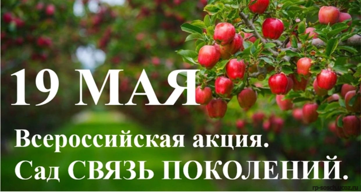 Всероссийская акция «Сад – Связь поколений»