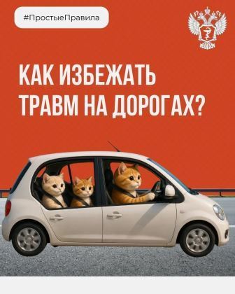 Как избежать травм на дорогах?