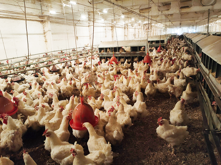 Экономика становится эффективнее