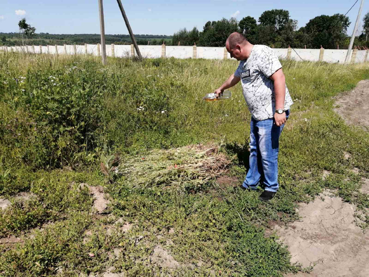 В Курском районе уничтожили посевы мака и конопли