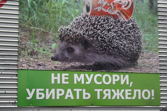 Свалку делают сами жители