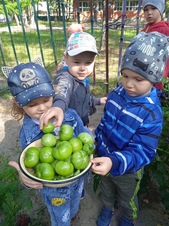 Очень много витаминов в овощах моих любимых!