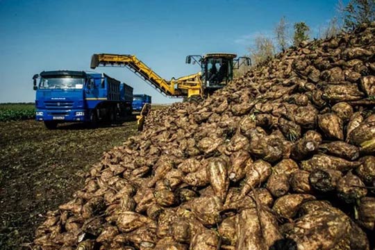 УБОРОЧНАЯ В КУРСКОМ РАЙОНЕ