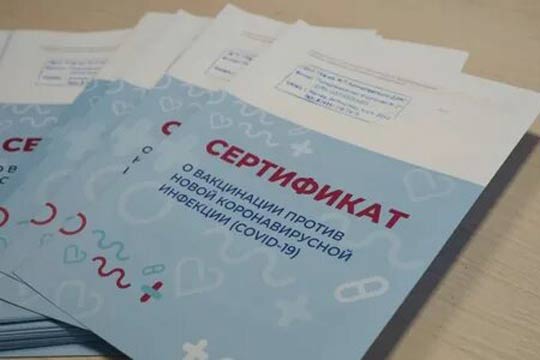 Госдума в первом чтении приняла Закон о сертификатах здоровья